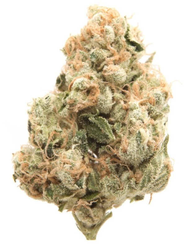 Buy Sour Diesel Strain