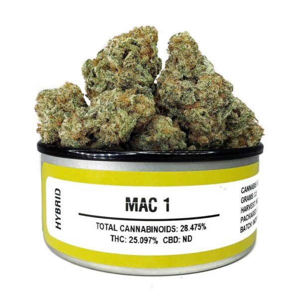 Space Monkey Meds MAC 1