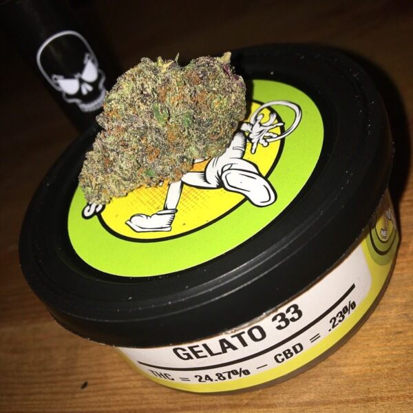 Space monkey meds Gelato 33